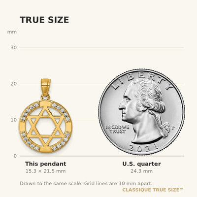 14K Polished CZ Star of David in Circle Pendant