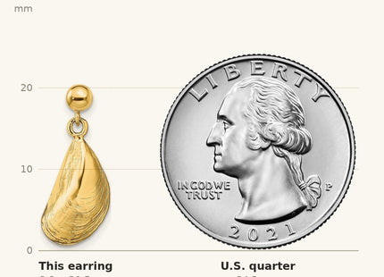 True size: 14K Mussel Shell Dangle Earrings shown next to a US quarter (24.3 mm)