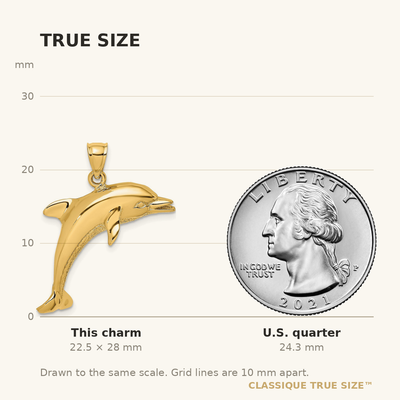 14K Polished Jumping Dolphin Charm, 28 x 32.1mm