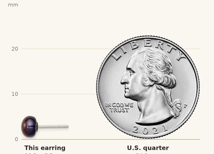 Classique True Size: Sterling Silver Polished 5- Black Freshwater Cultured Pearl Button Post Earrings shown next to a US quarter (24.3 mm)