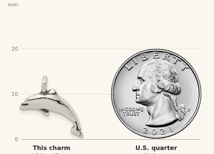 Classique True Size: Sterling Silver Antiqued Small Dolphin Charm shown next to a US quarter (24.3 mm)