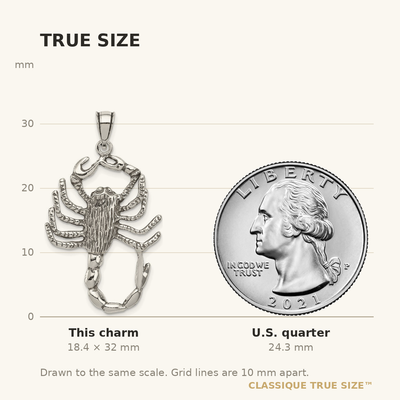 Sterling Silver Antiqued Scorpion Charm