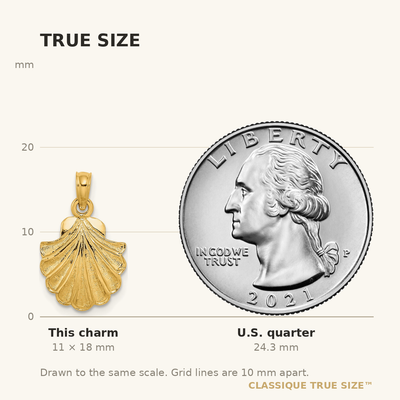 14K Scallop Shell Charm, 18 x 12mm