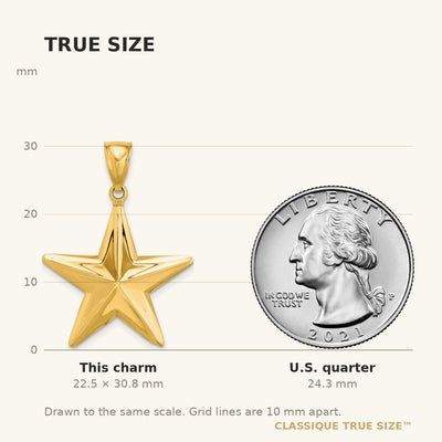 14K 3-D Nautical Star Charm