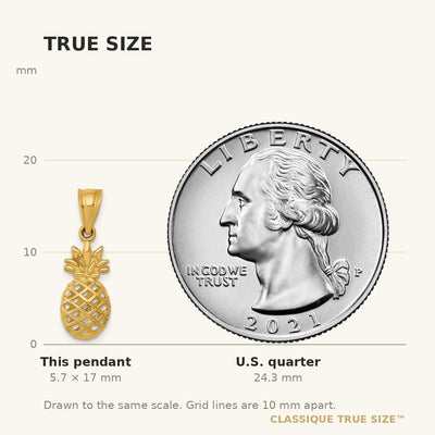 14K Polished 3D Pineapple Pendant