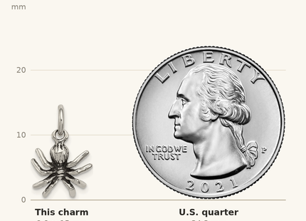 Classique True Size: Sterling Silver Antiqued Spider Charm shown next to a US quarter (24.3 mm)