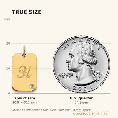 14K Yellow Gold Initial Dog Tag with Diamond Charm