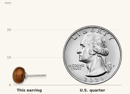 Classique True Size: Sterling Silver Rhodium-plated 7- Brown Button Freshwater Cultured Pearl Post Earring shown next to a US quarter (24.3 mm)