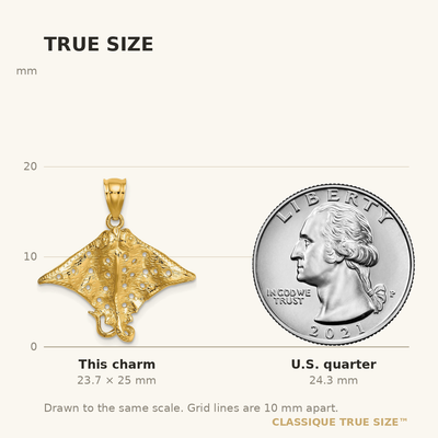 14K Spotted Eagle Ray with Holes Charm, 25 x 25.65mm