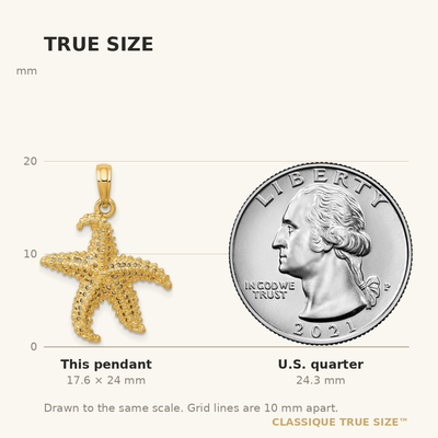 14K Polished Open-Backed Starfish Pendant
