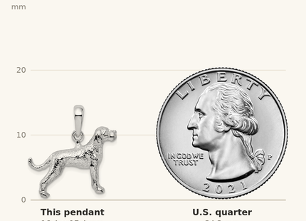 Classique True Size: De-Ani Sterling Silver Rhodium-Plated Textured 3D English Pointer Dog Pendant shown next to a US quarter (24.3 mm)