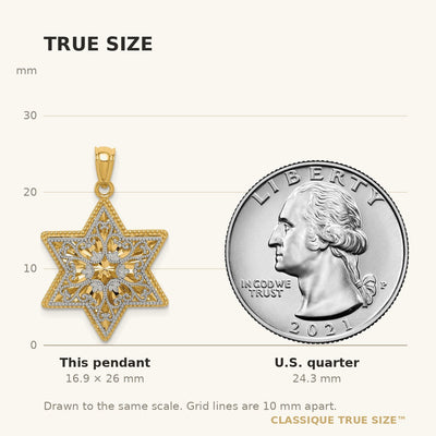 14K Two-Tone Polished Reversible Filigree Star Of David Pendant