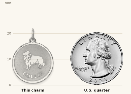 Classique True Size: Sterling Silver Rhodium-plated Collie Disc Charm shown next to a US quarter (24.3 mm)