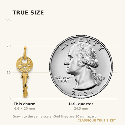 14K Polished 3D Rounded Top Key Charm, 20 x 8mm
