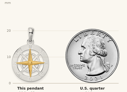 Classique True Size: De-Ani Sterling Silver Rhodium-Plated Small Compass with 14k Needle Pendant shown next to a US quarter (24.3 mm)