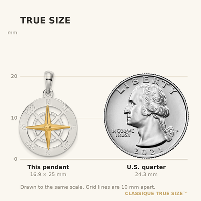 De-Ani Sterling Silver Rhodium-Plated Small Compass with 14K Needle Pendant