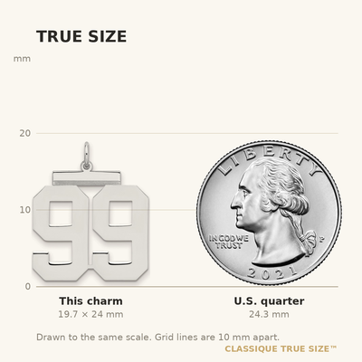 Sterling Silver/Rhodium-plated Polished Number 99 Charm, 24 x 20mm