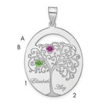 Sterling Silver/Rhod-plated 2 Birthstone with SS Bezel Family Pendant view 1