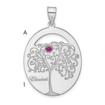Sterling Silver/Rhod-plated 1 Birthstone with SS Bezel Family Pendant view 1