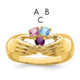 14K 3 Genuine Stone Family Ring