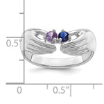 14K White Gold 2 Genuine Stone Family Ring view