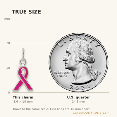 Sterling Silver Pink Enameled Awareness Charm
