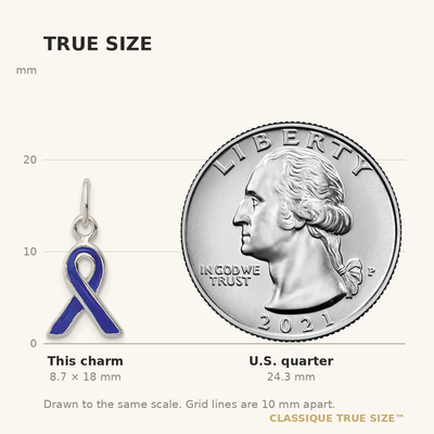 Sterling Silver Blue Enameled Awareness Charm