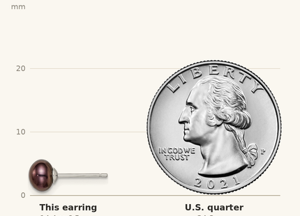 Classique True Size: Sterling Silver Rhodium-plated 6- Black Button Freshwater Cultured Pearl Post Earrings shown next to a US quarter (24.3 mm)