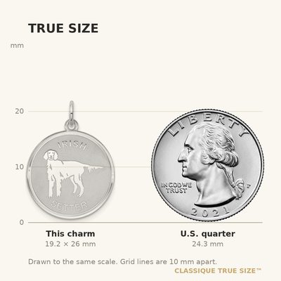 Sterling Silver Rhodium-plated Irish Setter Disc Charm