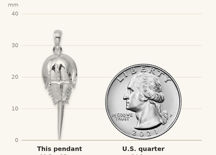 Classique True Size: De-Ani Sterling Silver Rhodium-Plated Polished Moving Tail Horse Shoe Crab Pendant shown next to a US quarter (24.3 mm)