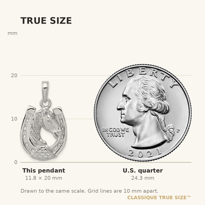 14K White Gold Solid Polished Horse Head in Horseshoe Pendant