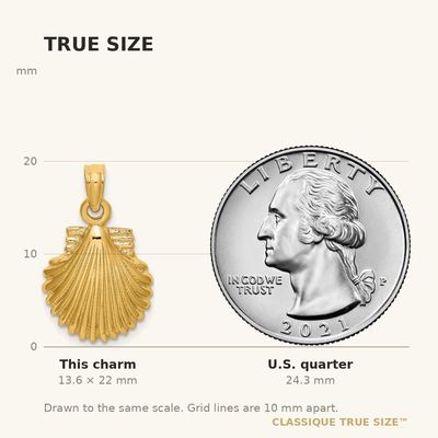 14K Polished Scallop Shell Charm, 22 x 12.35mm