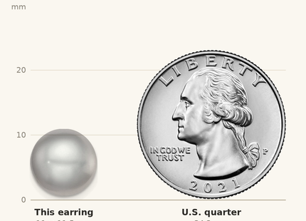 Classique True Size: Sterling Silver Rhodium-plated 11- Grey Button Freshwater Cultured Pearl Post Earrings shown next to a US quarter (24.3 mm)