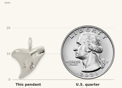 Classique True Size: Sterling Silver Diamond Cut Shark Tooth Pendant shown next to a US quarter (24.3 mm)