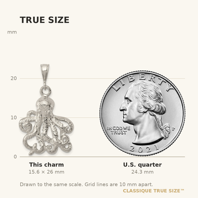 Sterling Silver Octopus Charm, 26 x 22mm