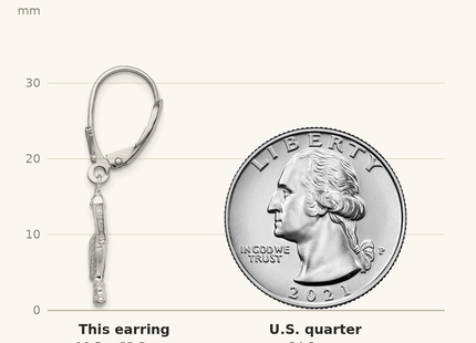 Classique True Size: De-Ani Sterling Silver Rhodium-plated Polished 3D Small Pelican Leverback Earrings shown next to a US quarter (24.3 mm)