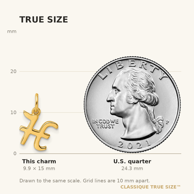 Sterling Silver Gold-tone Polished Letter H Initial Charm