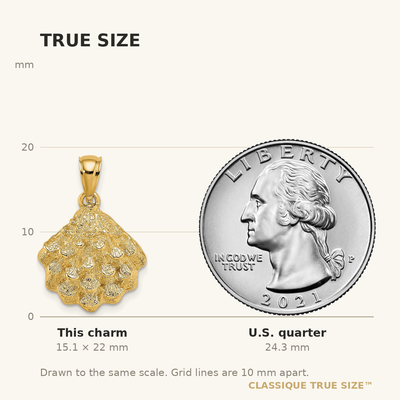 14K Textured Oyster Shell Charm, 22 x 16.9mm