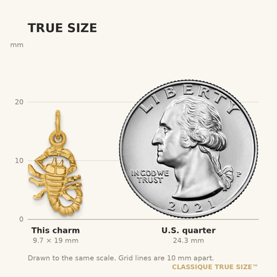 14K Satin Diamond-cut Scorpio Zodiac Charm, 19 x 10mm