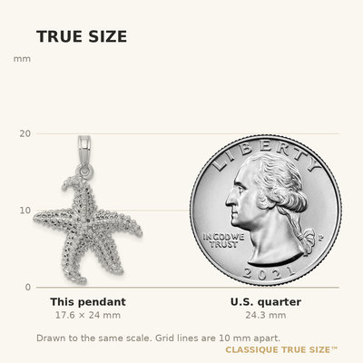 14K White Gold Polished Open-Backed Starfish Pendant