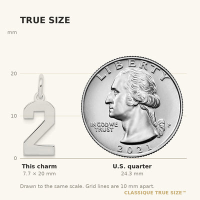 Sterling Silver/Rhodium-plated Polished Number 2 Charm, 20 x 4mm