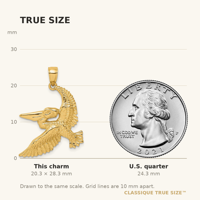 14K Flying Pelican Charm, 28.3 x 24.2mm