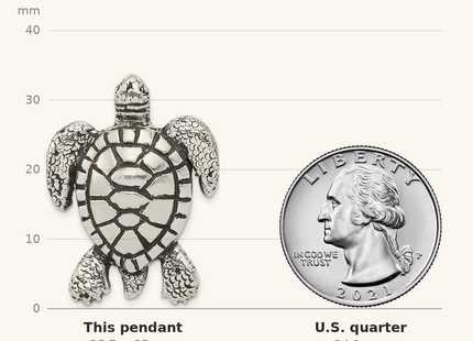 Classique True Size: Sterling Silver Antiqued & Textured Turtle Chain Slide Pendant shown next to a US quarter (24.3 mm)