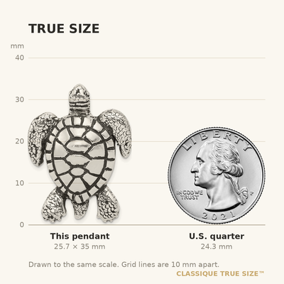 Sterling Silver Antiqued & Textured Turtle Chain Slide Pendant