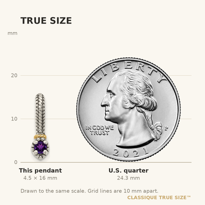 Shey Couture Sterling Silver Antiqued with 14K Accent Polished Amethyst Chain Slide Pendant