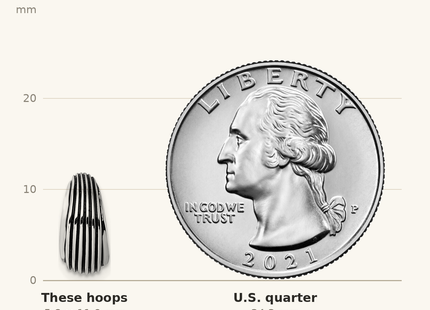 Classique True Size: Sterling Silver Rhodium-plated Antiqued Grooved Graduated J-Hoop Post Earrings shown next to a US quarter (24.3 mm)