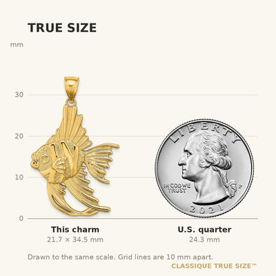 14K Textured LARGE ANGELFISH Charm