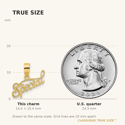 14K Polished and Textured Special Charm, 15.40 x 16.5mm
