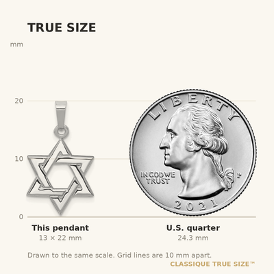 14K White Polished Star of David Pendant