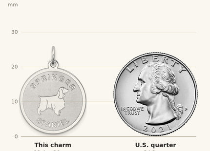 True size: Sterling Silver Rhodium-plated Springer Spaniel Disc Charm shown next to a US quarter (24.3 mm)